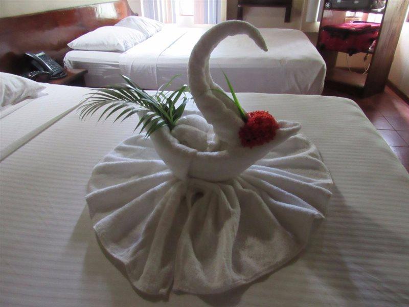 Hotel Canciones Del Mar - Beachfront 자코 외부 사진