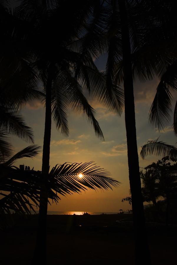 Hotel Canciones Del Mar - Beachfront 자코 외부 사진